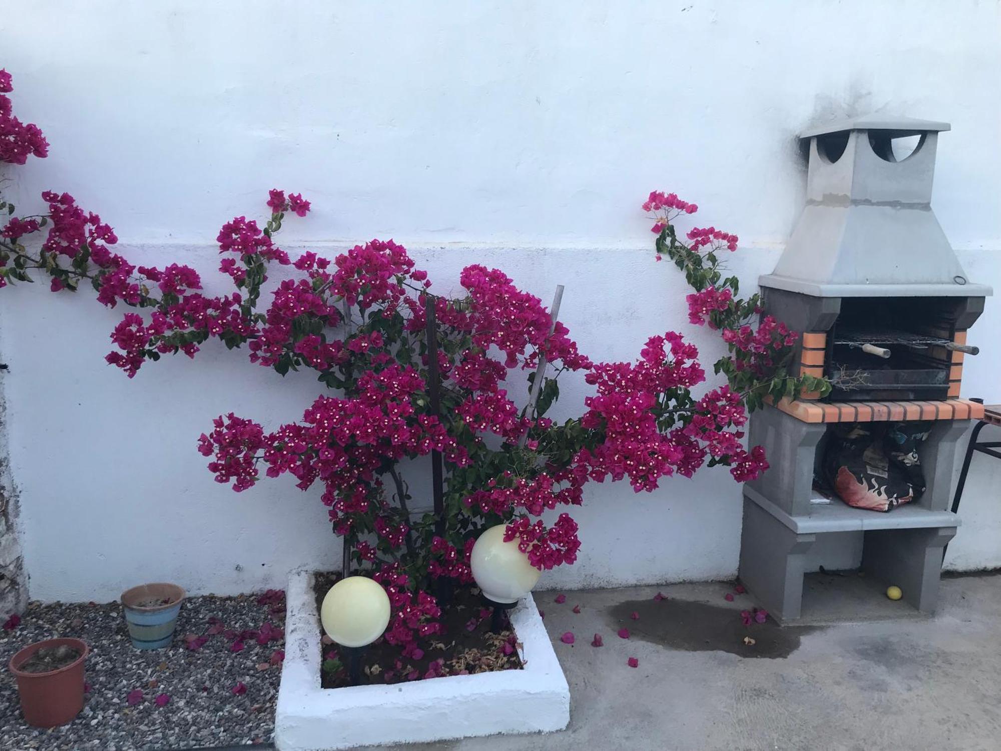 Casa Santo Antonio Lejlighed Pias  Eksteriør billede